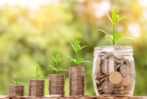 Growing money like plants