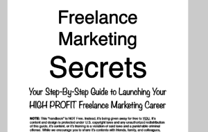 Freelance Marketing Secrets main page