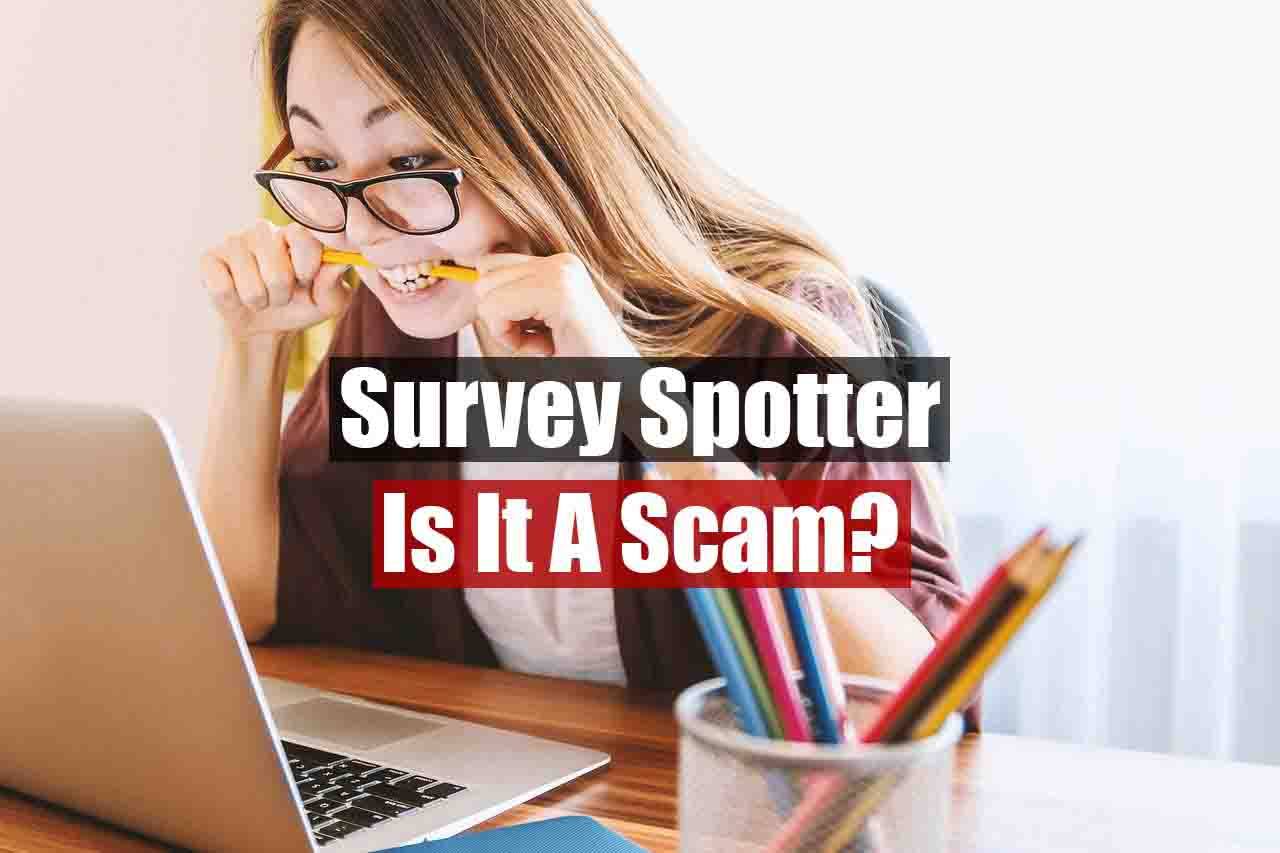 Survey Spotter Review featured image