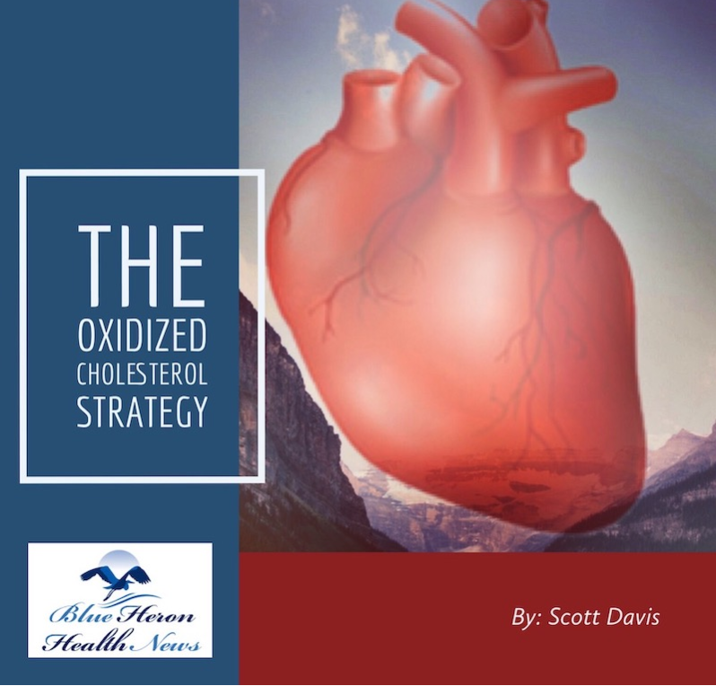 The Oxidized Cholesterol Strategy cover