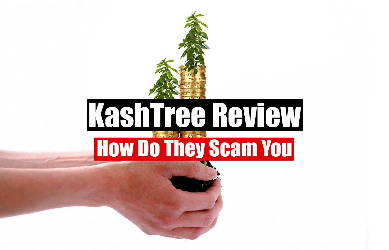 Kashtree review featured image