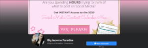 Big Income Paradise