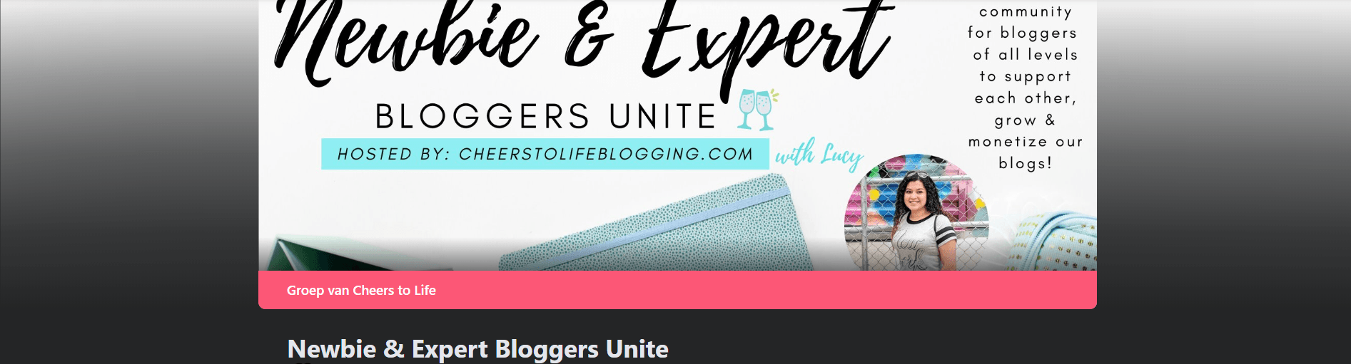 Newbie and Expert bloggers unite facebook group