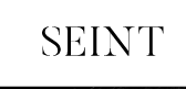 SEINT logo